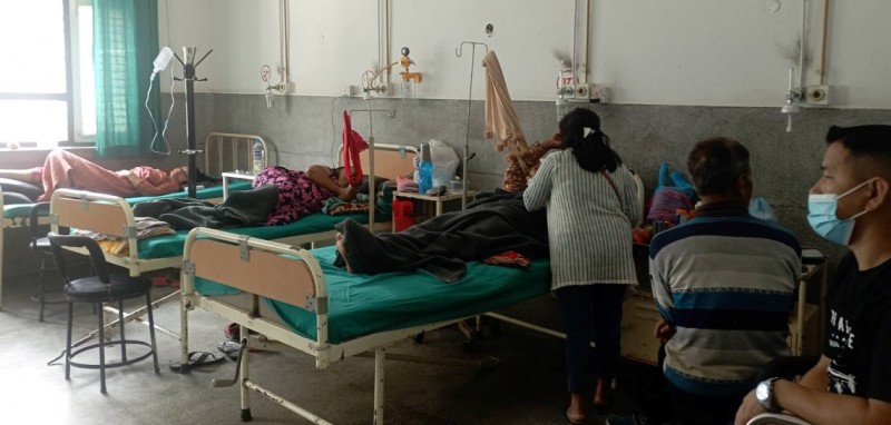 काठमाडौंमा देखिएको हैजा नियन्त्रण तथा रोकथाम गर्न समिति